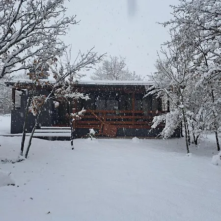 De Luxe Mobilna Kuca Kijani, 44m2 * Грачац