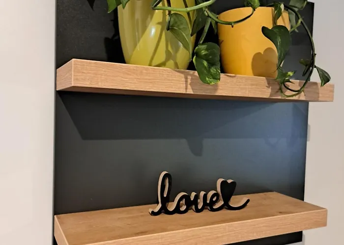 De Luxe Mobilna Kuca Kijani, 44m2