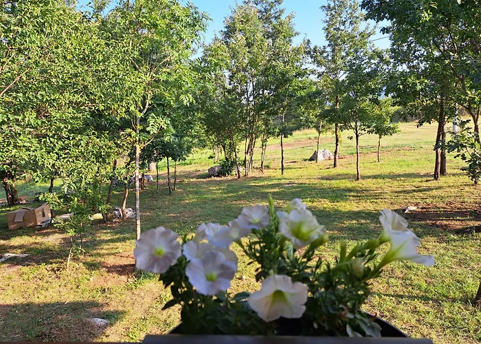 De Luxe Mobilna Kuca Kijani, 44m2 Casa vacanze