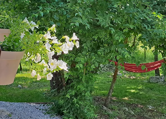 De Luxe Mobilna Kuca Kijani, 44m2 *