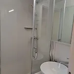De Luxe Mobilna Kuca Kijani, 44m2 * Gračac