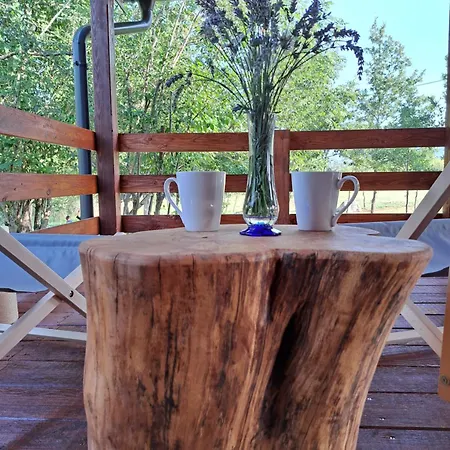 펜션 De Luxe Mobilna Kuca Kijani, 44m2 *