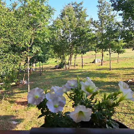 De Luxe Mobilna Kuca Kijani, 44m2 펜션