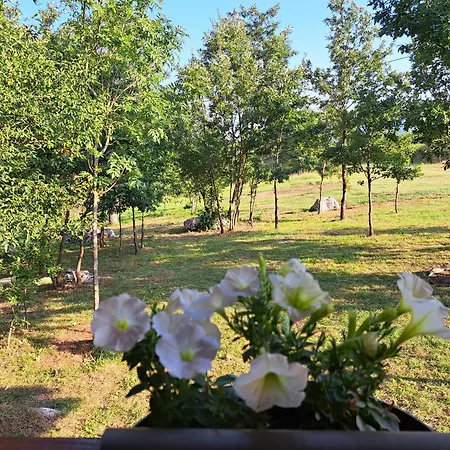 De Luxe Mobilna Kuca Kijani, 44m2 Holiday home
