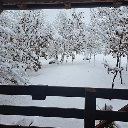 De Luxe Mobilna Kuca Kijani, 44m2 *