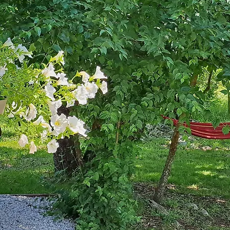 De Luxe Mobilna Kuca Kijani, 44m2 *