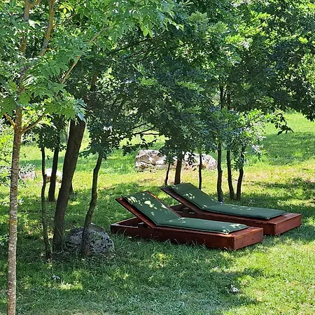 펜션 De Luxe Mobilna Kuca Kijani, 44m2 *